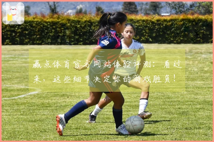 赢点体育官方网站体验评测：看过来，这些细节决定你的游戏胜负！