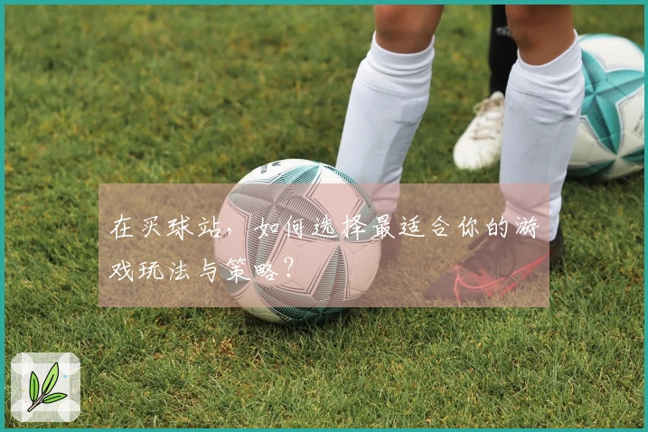 在买球站，如何选择最适合你的游戏玩法与策略？