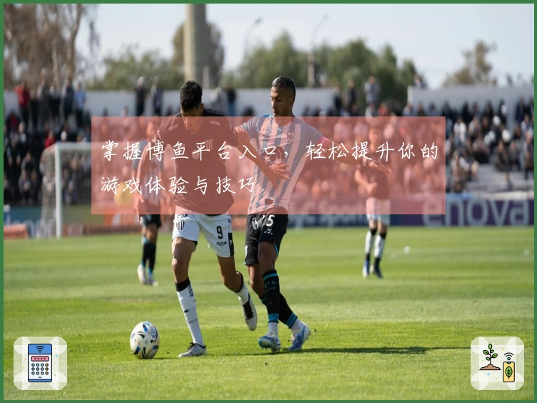 掌握博鱼平台入口，轻松提升你的游戏体验与技巧