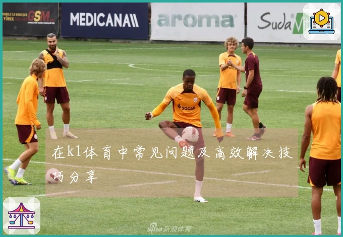 在k1体育中常见问题及高效解决技巧分享